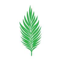 Green leaf icon. Leaves icon on isolated background. Collection green leaf. Elements design for natural, eco, vegan, bio labels vector