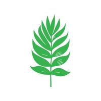 Green leaf icon. Leaves icon on isolated background. Collection green leaf. Elements design for natural, eco, vegan, bio labels vector