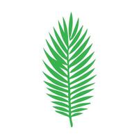 Green leaf icon. Leaves icon on isolated background. Collection green leaf. Elements design for natural, eco, vegan, bio labels vector