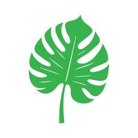 Green leaf icon. Leaves icon on isolated background. Collection green leaf. Elements design for natural, eco, vegan, bio labels vector