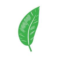 Green leaf. Leaves icon on isolated background. Collection green leaf. Elements design for natural, eco, vegan, bio labels vector