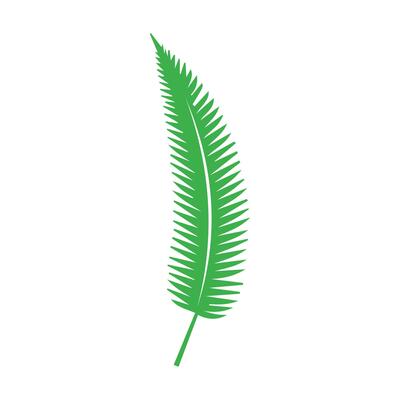 Green leaf. Leaves icon on isolated background. Collection green leaf. Elements design for natural, eco, vegan, bio labels