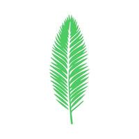 Green leaf. Leaves icon on isolated background. Collection green leaf. Elements design for natural, eco, vegan, bio labels vector