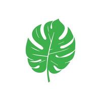verde hoja. hojas icono en aislado antecedentes. colección verde hoja. elementos diseño para natural, ecológico, vegano, bio etiquetas vector