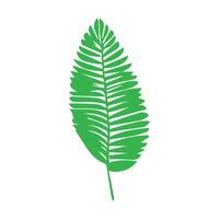 verde hoja icono. hojas icono en aislado antecedentes. colección verde hoja. elementos diseño para natural, ecológico, vegano, bio etiquetas vector