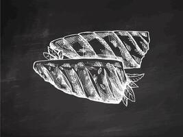 Hand-drawn monochrome sketch of barbecue fish. Doodle vintage illustration on chalkboard background. Decorations for the menu of cafes and labels. vector