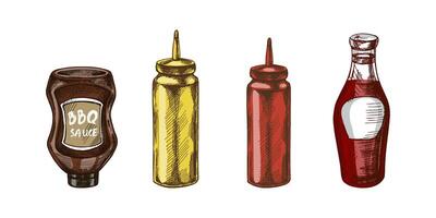 Hand-drawn colored sketch of bottles with ketchup, mayonnaise or mustard and barbecue sauce. Doodle vintage illustration on white background. vector