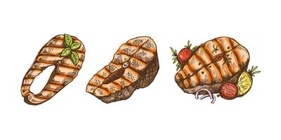 dibujado a mano de colores bosquejo de piezas de parilla salmón bistecs garabatear Clásico ilustración. decoraciones para el menú. grabado imagen. vector