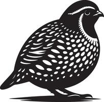 quail illustration on white background vector