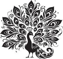 peacock illustration, white background eps 10 vector
