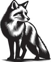illustration image of an fox design on white background vector
