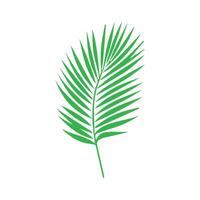 Green leaf icon. Leaves icon on isolated background. Collection green leaf. Elements design for natural, eco, vegan, bio labels vector