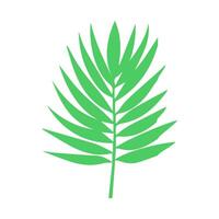 verde hoja. hojas icono en aislado antecedentes. colección verde hoja. elementos diseño para natural, ecológico, vegano, bio etiquetas vector