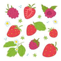 Fruits set. Strawberries and raspberries, whole and slices, leaves. Free hand illustration isolated on white vector