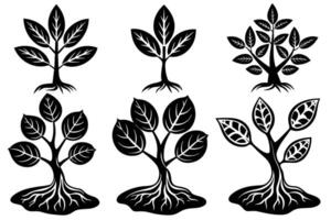 Tree with roots silhouette image vector