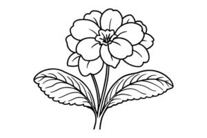 Flower arrangement line art design vector