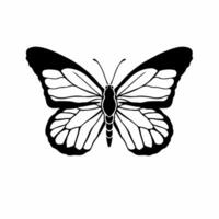 mariposa mano dibujo. tatuaje diseño. plantilla ilustración vector