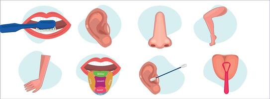 Arm, leg, tongue, mouth, nose, hand, human body parts illustration vector