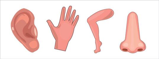 Arm, leg, tongue, mouth, nose, hand, human body parts illustration vector