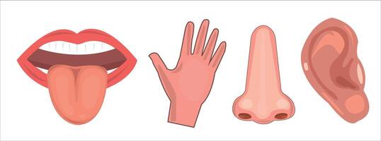 Arm, leg, tongue, mouth, nose, hand, human body parts illustration vector