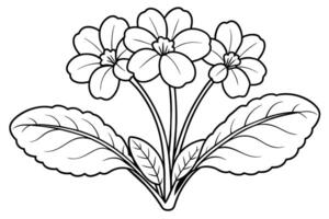 Flower arrangement line art design vector