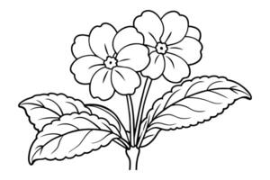 Flower arrangement line art design vector