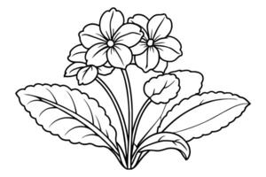 Flower arrangement line art design vector