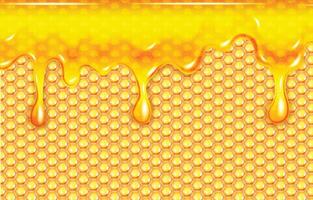 Abstract honeycomb background with dripping honey vector