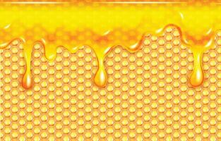 Abstract honeycomb background with dripping honey vector