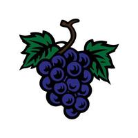 Bunch of grapes with leaves, wine vine, doodle hand drawing, editable icon, colored on white background vector