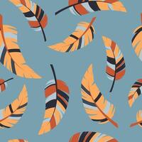 seamless pattern with feathers vector