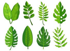 features eight different types of green leaves, each with distinct shapes and vein patterns. diverse foliage showcases various botanical designs, ideal for nature-related graphics and design projects vector