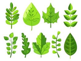 presentando ocho diferente tipos de verde hojas. cada hoja vitrinas único formas y vena patrones. gráfico es simple, limpio, y vibrante, ideal para con temas de la naturaleza diseños y Respetuoso del medio ambiente proyectos vector