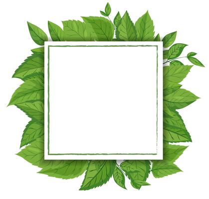 A featuring a square white frame embellished with vibrant green leaves. lush foliage surrounds the frame, creating a fresh, natural, and eco-friendly theme suitable. Mockup, template