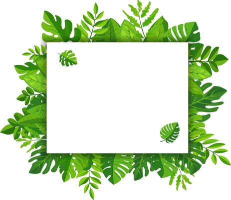 features a vibrant green leaves frame surrounding a blank white rectangular space perfect for mockups or copy space. lush foliage adds a touch of nature and freshness to any design