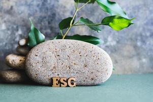 ESG concept wooden letters near a stone and branches with leaves on a green background photo