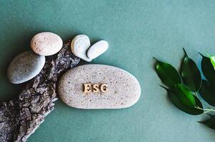 ESG concept wooden letters on stone, branch with leaves and tree bark on green top view photo