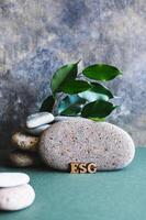 ESG concept wooden letters near a stone and branches with leaves on a green vertical view photo