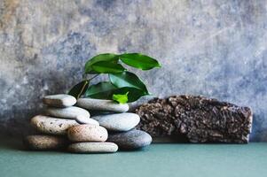 orgánico natural antecedentes de hojas, árbol ladrar y piedras en verde foto