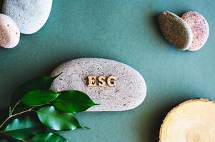 ESG concept wooden letters, stones, trunck of tree and leaves on a green background top view photo