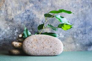 Organic natural background from branches with leaves and stones on green photo