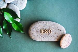 ESG concept wooden letters, stones and leaves on a green background top view photo