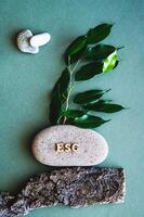 ESG concept letters on stone, branch with leaves and tree bark on green top and vertical view photo