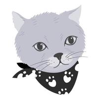 Cute cat face with scarf. vector