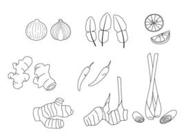 Set of ingredients in Tom Yum Soup, Asia food. Hand drawn outline. vector