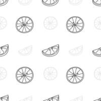 Seamless pattern with slice lime, outline hand drawn. vector