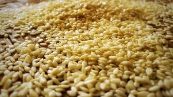 close up of a stack raw sesame seeds photo
