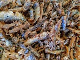 indonesio comida llamado frito pequeño anchoa foto