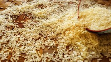 Close up of rice white rice grain photo
