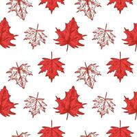 Red maple leaf engraved, seamless pattern with symbol of Canada. Hand drawn repeating background with leaves. illustration for congratulation of Canada Day, print, paper, card, poster, flyer vector